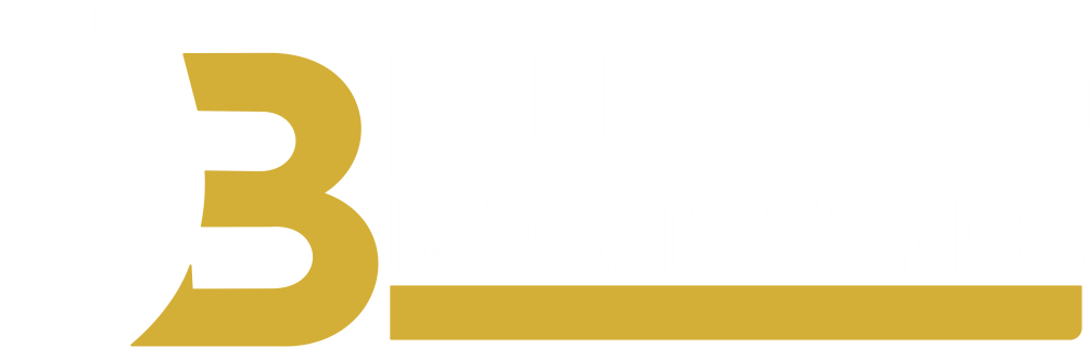 Bluepip Integrated Services